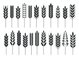 Poster Cereal grain spikes icon shape set. Agriculture food logo symbol. Vector illustration image. Isolated on white background. Oat, whey, barley, rye. © ville