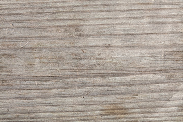 Large wood background texture