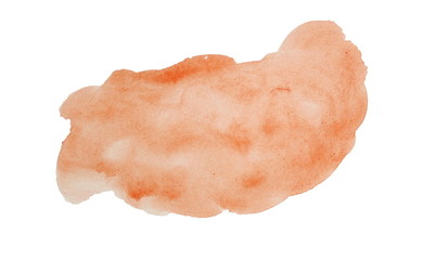Watercolor Texture Hand Painted Blobs