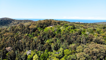 View of Noosa Heads viewing point in the forest