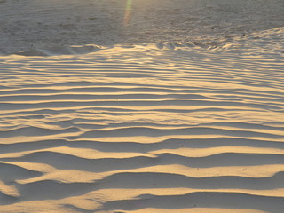 in the Sahara desert