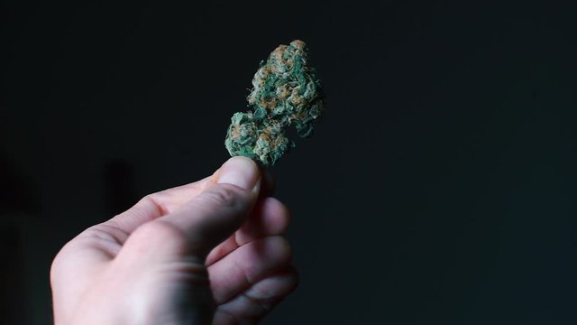 Closeup of cannabis at a nightclub party.