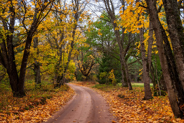 Puszcza Knyszyńska, Polska złota jesień, Podlasie, Polska © podlaski49