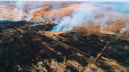 Fototapeta premium Large burnt field covered in black soot. Fire spreads in several places. Great smoke from burning places.
