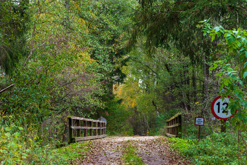 Puszcza Knyszyńska, Polska złota jesień, Podlasie, Polska © podlaski49