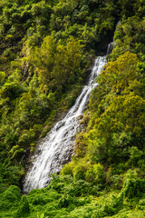 Cascade à flanc de montae