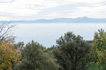 Fototapeta premium valley covered by clouds of fog between mountains