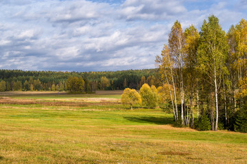 Puszcza Knyszyńska, Polska złota jesień, Podlasie, Polska © podlaski49
