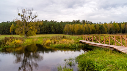 Puszcza Knyszyńska, Polska złota jesień, Podlasie, Polska © podlaski49