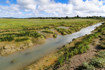 Newton Harbour Nature Reserve.  Salt Flats on the Isle of Wight, England, UK