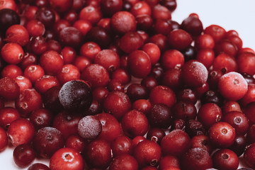 many Frozen cranberry with hoarfrost background