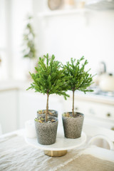 Beautiful christmas decoration. Holiday concept.