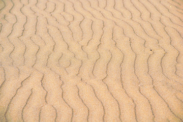 Sea sand background clean yellow