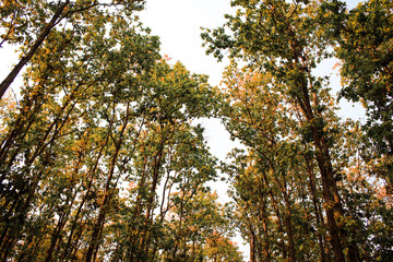 Gajni Obokash Kendro scene in Bangladesh