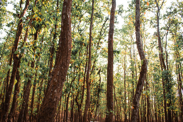 Gajni Obokash Kendro scene in Bangladesh