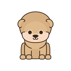 cute little dog fill style icon