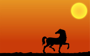 Horse silhouette at sunset. Vector Illustration