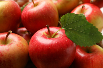 Sweet red apples on whole background, close up