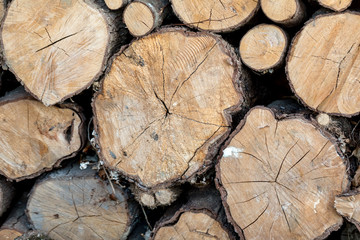 Background of dry Firewood Logs stacked up on top of each other