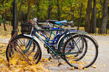 Fototapeta na wymiar An old bicycles in autumn park
