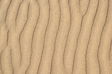 Fototapeta na wymiar Sea sand background clean yellow