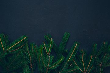 Christmas concept on a black background with toys and green fir.