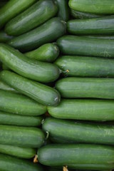 fresh cucumbers