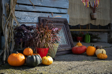 Autumn display of pumpkins and gourds with space for text