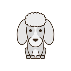 cute little dog French poodle fill style icon