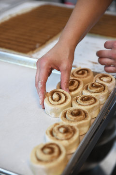 Woman placing cinnamon rolls on pan