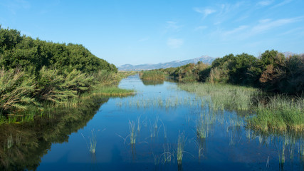 Fototapeta na wymiar View of the canal de Siurana in Albufera Park on the island of Mallorca