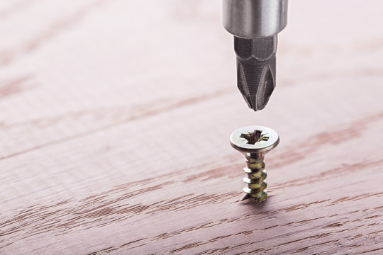 screwdriver screw in a wood oaks plank