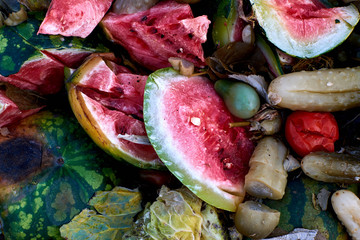 rotten vegetables and berries thrown in the trash