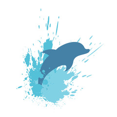dolphin splash illustration