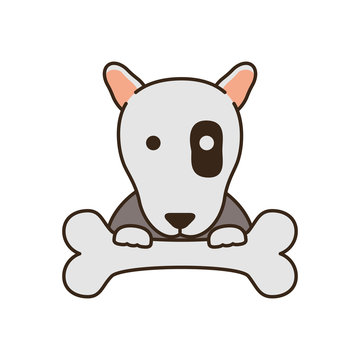 cute little dog pit bull with bone fill style icon