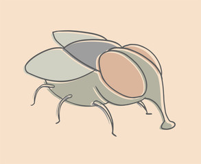 Fly insect draw