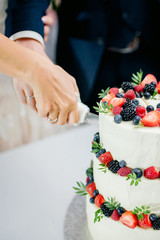 wedding ceremony. Hands of newlyweds cut a white three-tiered cake with strawberries and blackberries