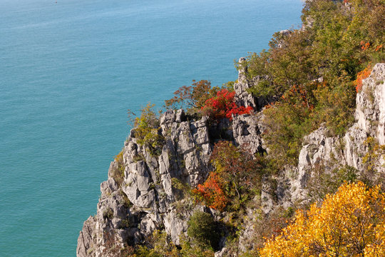 Autumn Colors on the Rilke Trail near Trieste, Italy
