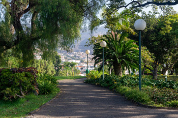 View of Funchal city from the park