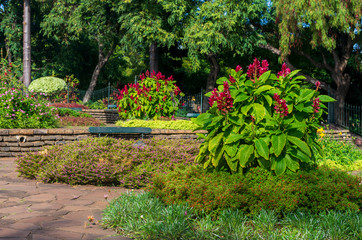 Fototapeta premium The park of Funchal city