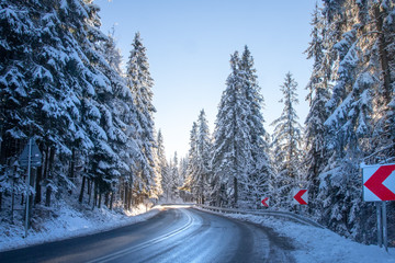 Winter road in forest. Snowy trees in forest along highway. Beautiful frosty nature landscape