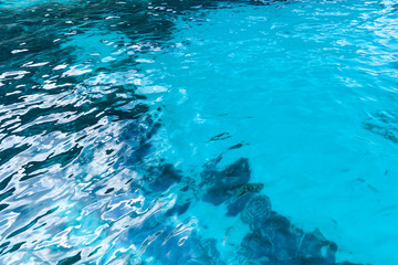 Obraz premium Shiny blue sea water surface. Natural background