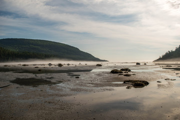 Fototapeta na wymiar bay with rocks and mist