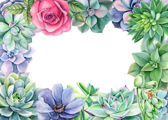 frame of green plants and flowers, succulents, echeveria, rose, anemone watercolor painting, hand drawing