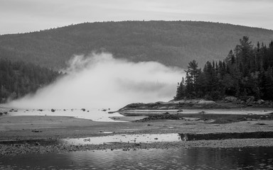 bay with rocks and mist