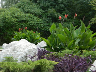  Beautiful autumn flowers on the flowerbed in the park.