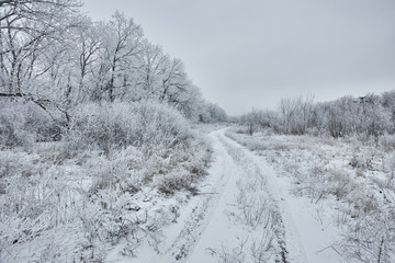Obraz premium Wintry landscape with a dirt road