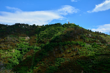 Naklejka premium cinque terre italy landscape with trees on the hill and blue sky