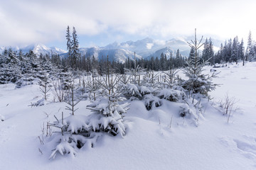 Winter landscape of the Tatra Mountains.