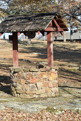 Wishing Well in a Country Yard